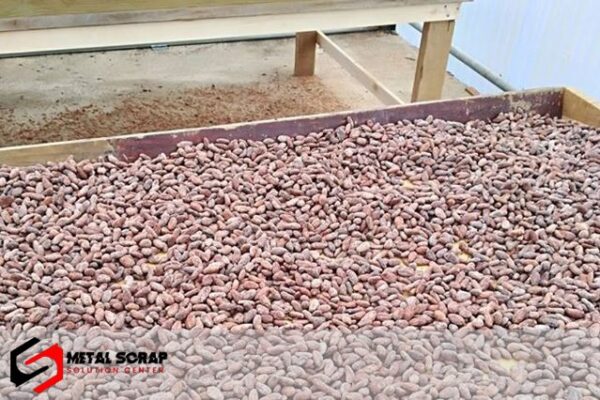 High Grade Sun Dried Cocoa Beans - Image 5