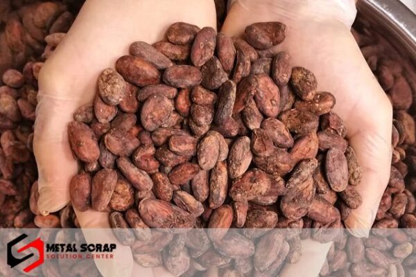 High Grade Sun Dried Cocoa Beans