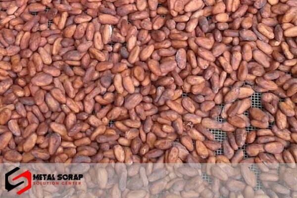 High Grade Sun Dried Cocoa Beans - Image 6