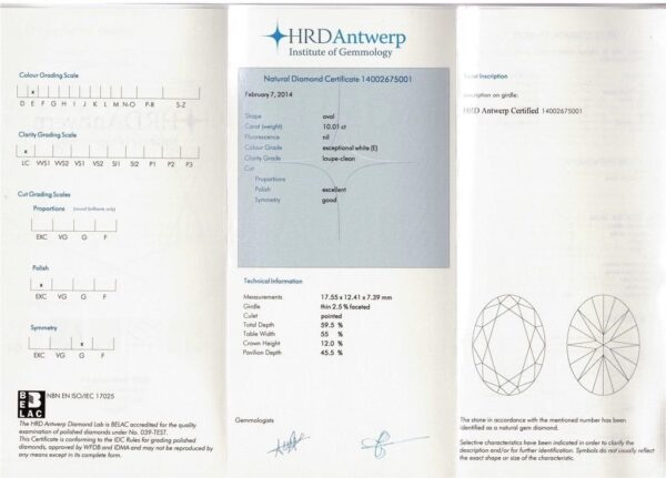 Oval Diamond 10.01ct E/IF certified HRD, EXCEPTIONAL STONE - Image 2